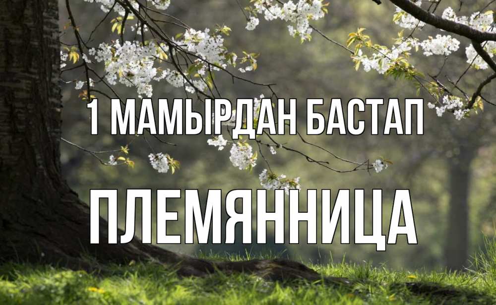 Күн сайын ашық хат с именем, Племянница 1 мамырдан бастап С 1 мая Онлайн тегін жүктеп алу тілектері бар керемет карта 