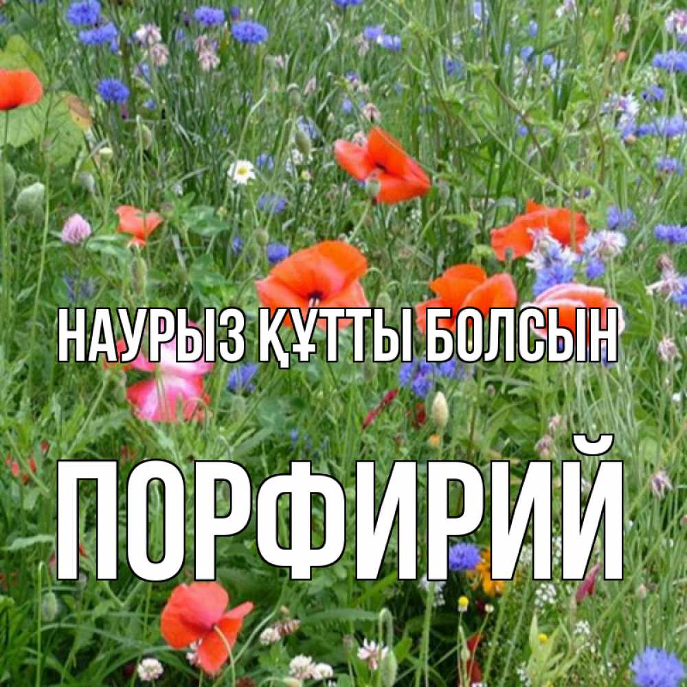 Күн сайын ашық хат с именем, Порфирий Наурыз құтты болсын наурыз  4 Онлайн тегін жүктеп алу тілектері бар керемет карта 