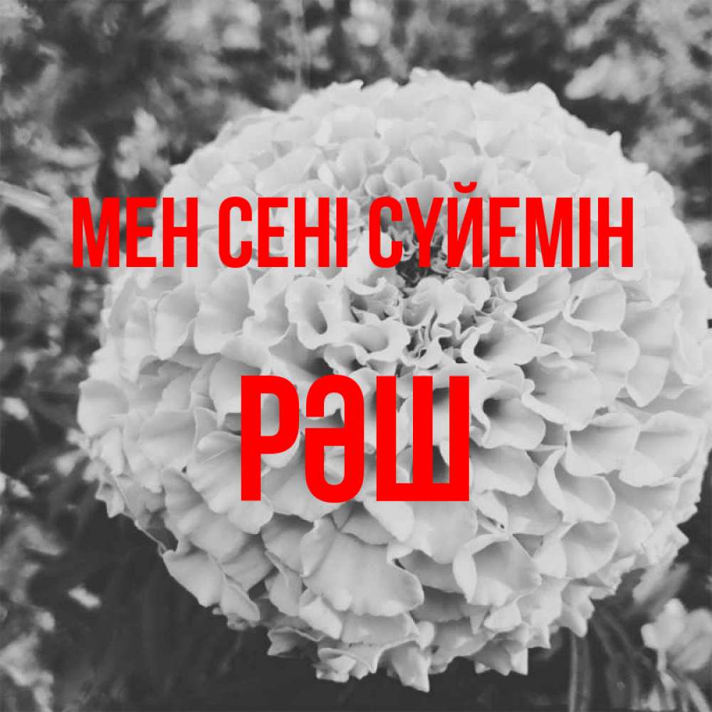 Күн сайын ашық хат с именем, РӘШ Мен сені сүйемін подпись Онлайн тегін жүктеп алу тілектері бар керемет карта 