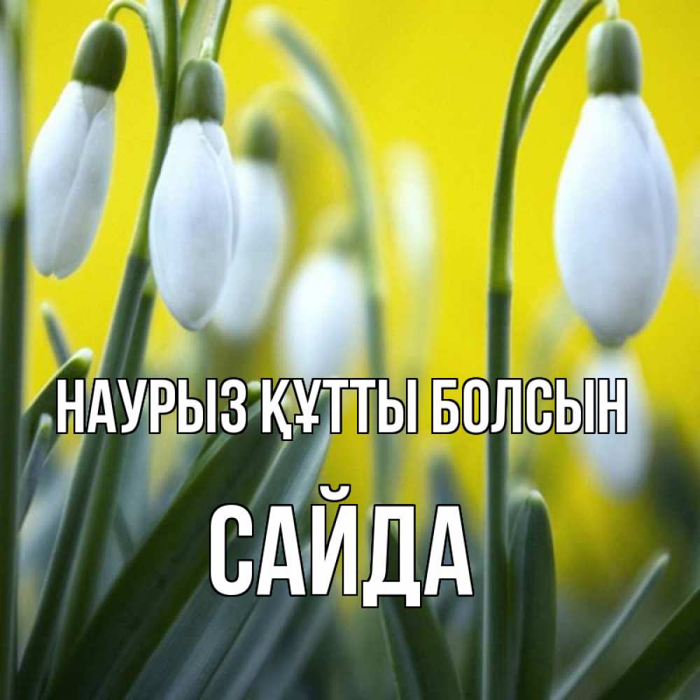Күн сайын ашық хат с именем, САЙДА Наурыз құтты болсын весенние цветы Онлайн тегін жүктеп алу тілектері бар керемет карта 