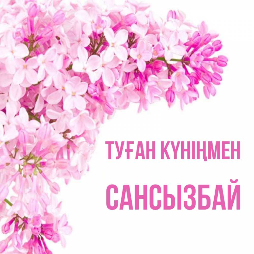 Күн сайын ашық хат с именем, САНСЫЗБАЙ Туған күніңмен Сирень на белом фоне Онлайн тегін жүктеп алу тілектері бар керемет карта 