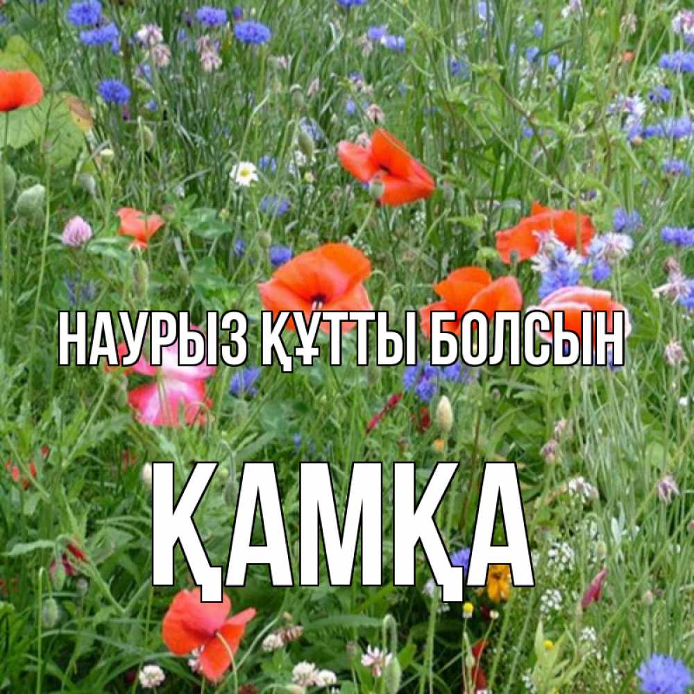 Күн сайын ашық хат с именем, ҚАМҚА Наурыз құтты болсын наурыз  4 Онлайн тегін жүктеп алу тілектері бар керемет карта 