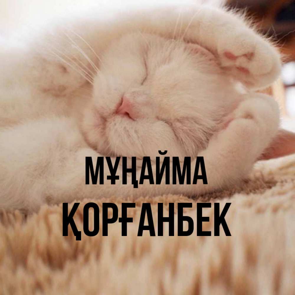 Күн сайын ашық хат с именем, Қорғанбек Мұңайма Котенок спит Онлайн тегін жүктеп алу тілектері бар керемет карта 