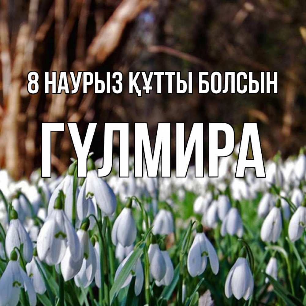Күн сайын ашық хат с именем, ГҮЛМИРА 8 наурыз құтты болсын с подснежниками 1 Онлайн тегін жүктеп алу тілектері бар керемет карта 