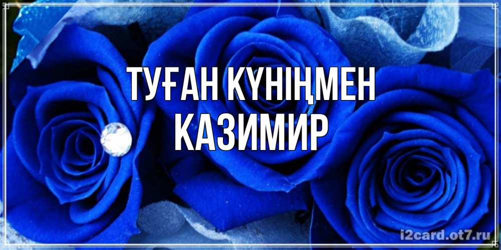 Күн сайын ашық хат с именем, Казимир Туған күніңмен синие розы в росе Онлайн тегін жүктеп алу тілектері бар керемет карта 
