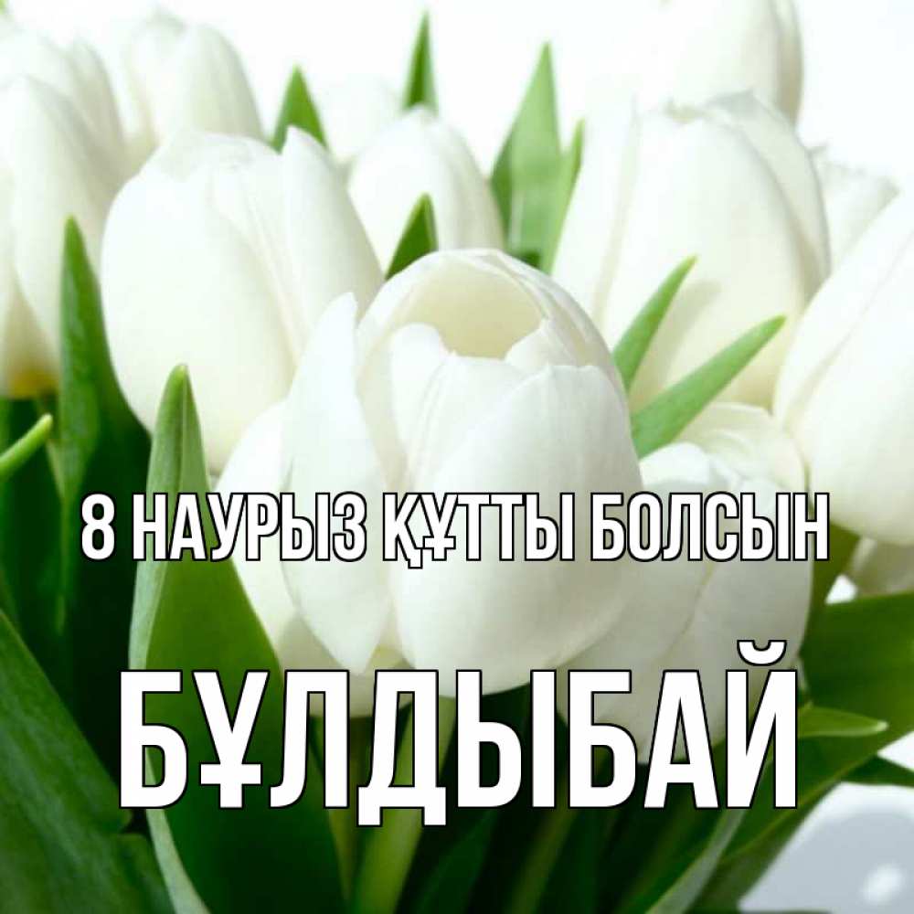 Күн сайын ашық хат с именем, Бұлдыбай 8 наурыз құтты болсын цветы Онлайн тегін жүктеп алу тілектері бар керемет карта 