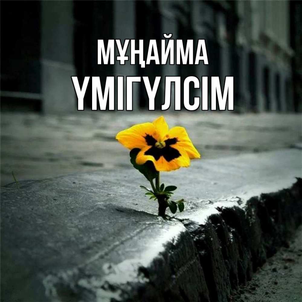 Күн сайын ашық хат с именем, ҮМІГҮЛСІМ Мұңайма не сдавайся Онлайн тегін жүктеп алу тілектері бар керемет карта 