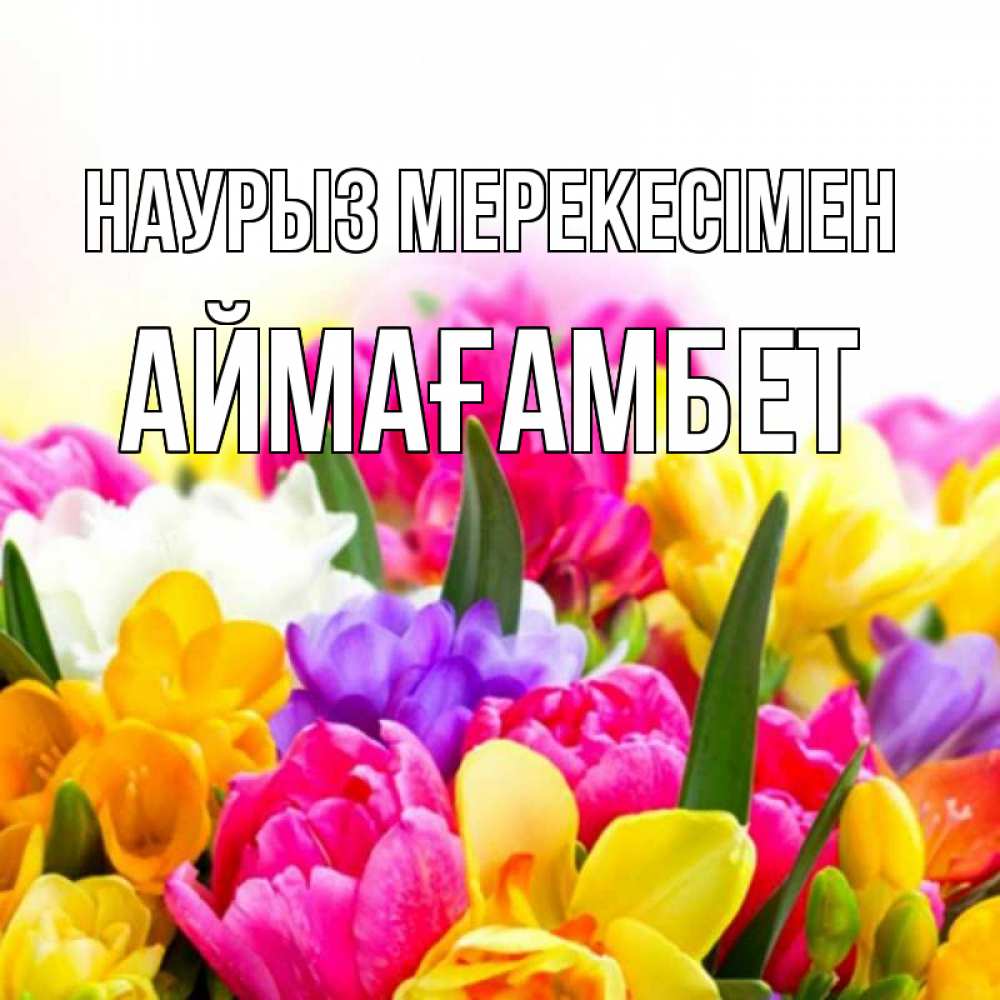 Күн сайын ашық хат с именем, Аймағамбет Наурыз мерекесімен тюльпаны Онлайн тегін жүктеп алу тілектері бар керемет карта 