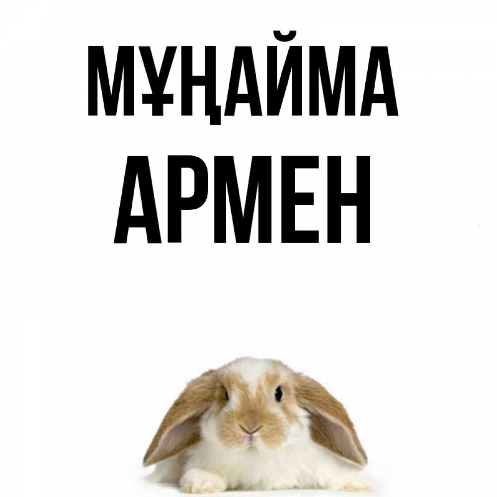 Күн сайын ашық хат с именем, Армен Мұңайма коричнево белый заяц с большими ушками Онлайн тегін жүктеп алу тілектері бар керемет карта 