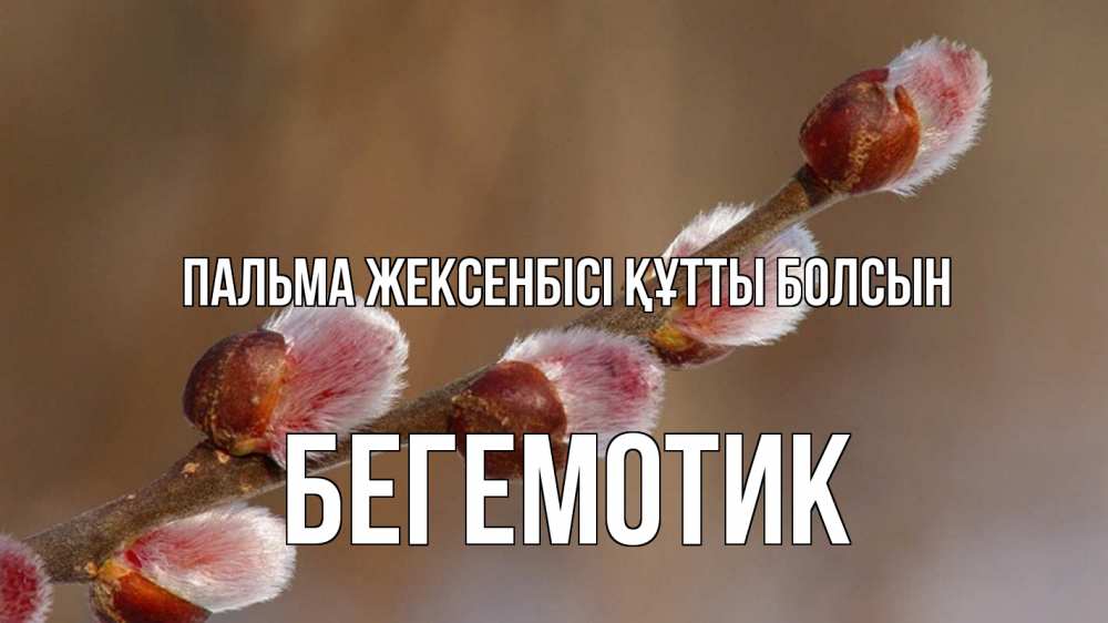 Күн сайын ашық хат с именем, Бегемотик Пальма жексенбісі құтты болсын верба Онлайн тегін жүктеп алу тілектері бар керемет карта 