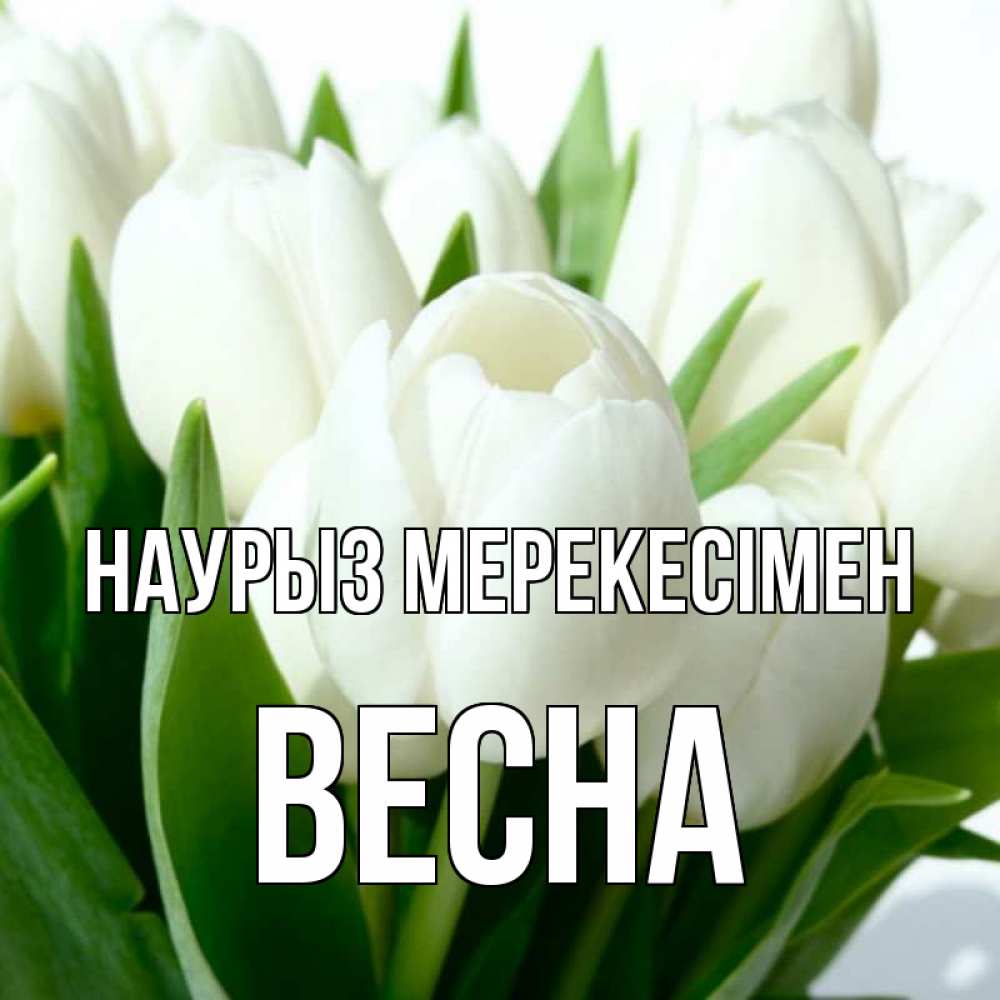 Күн сайын ашық хат с именем, Весна Наурыз мерекесімен цветы Онлайн тегін жүктеп алу тілектері бар керемет карта 