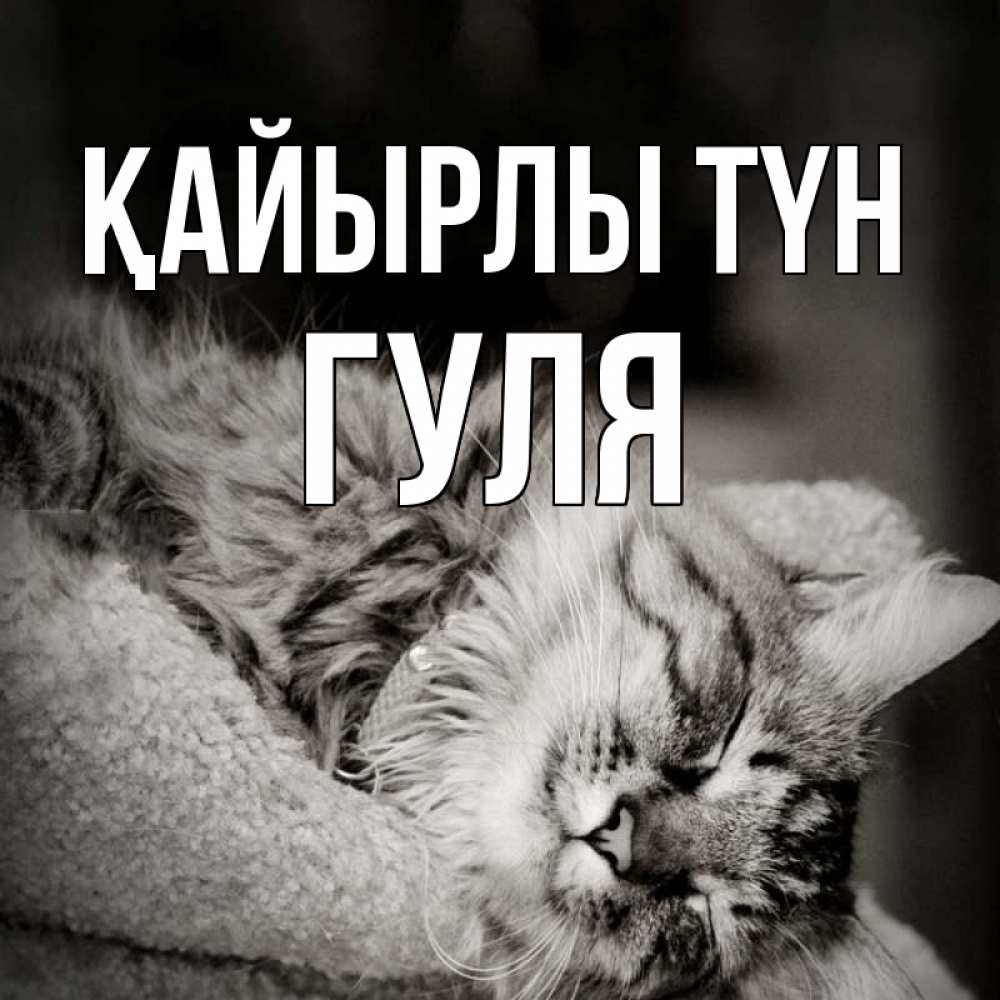 Күн сайын ашық хат с именем, Гуля Қайырлы түн котярик пушистый Онлайн тегін жүктеп алу тілектері бар керемет карта 