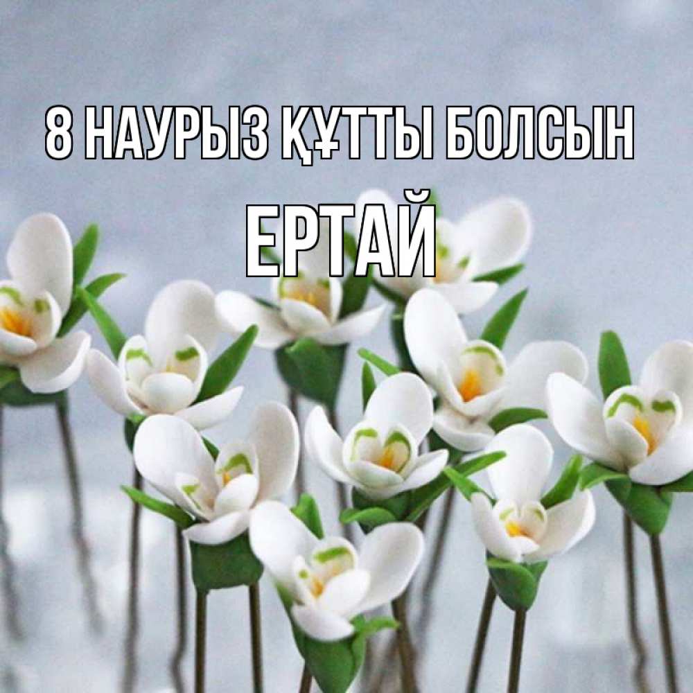Күн сайын ашық хат с именем, Ертай 8 наурыз құтты болсын весенние цветы Онлайн тегін жүктеп алу тілектері бар керемет карта 