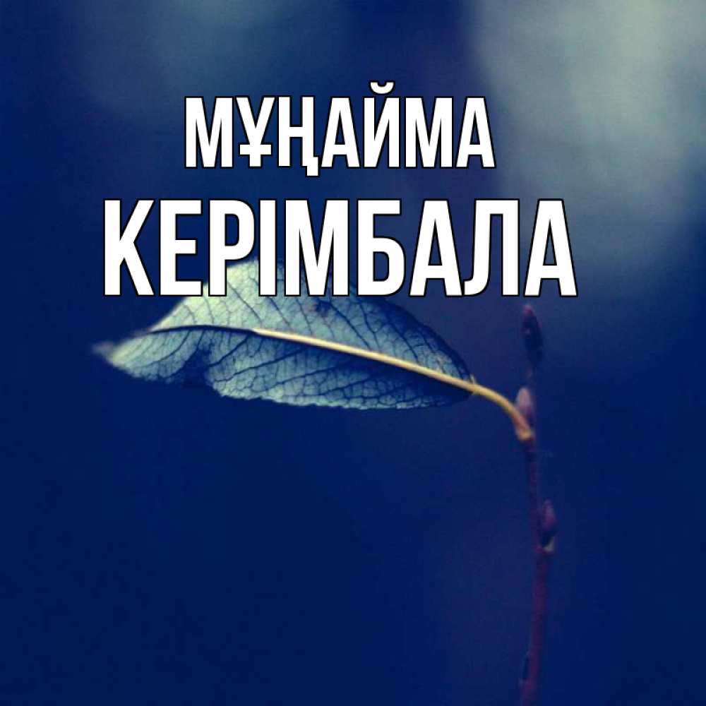 Күн сайын ашық хат с именем, КЕРІМБАЛА Мұңайма растение Онлайн тегін жүктеп алу тілектері бар керемет карта 