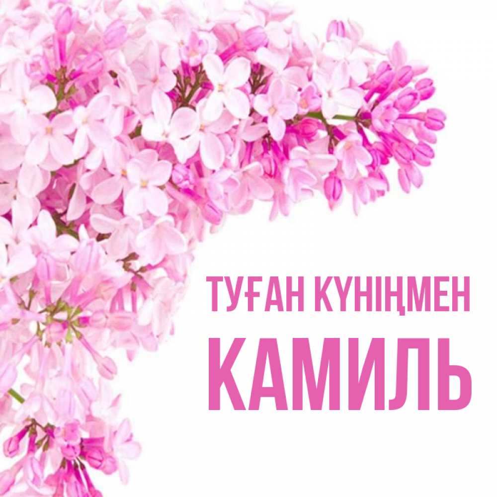 Күн сайын ашық хат с именем, Камиль Туған күніңмен Сирень на белом фоне Онлайн тегін жүктеп алу тілектері бар керемет карта 