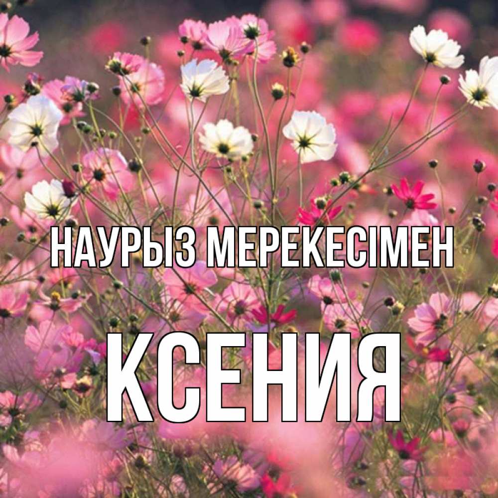 Күн сайын ашық хат с именем, Ксения Наурыз мерекесімен красиво 1 Онлайн тегін жүктеп алу тілектері бар керемет карта 