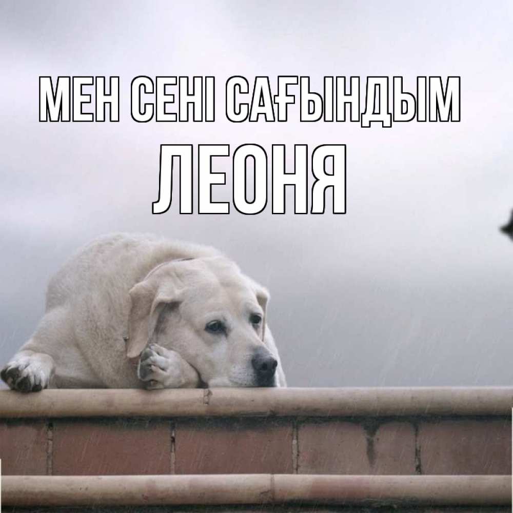 Күн сайын ашық хат с именем, Леоня Мен сені сағындым ждет Онлайн тегін жүктеп алу тілектері бар керемет карта 