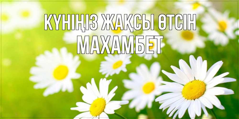 Күн сайын ашық хат с именем, МАХАМБЕТ Күніңіз жақсы өтсін открытка с ромашками на зеленом фоне Онлайн тегін жүктеп алу тілектері бар керемет карта 