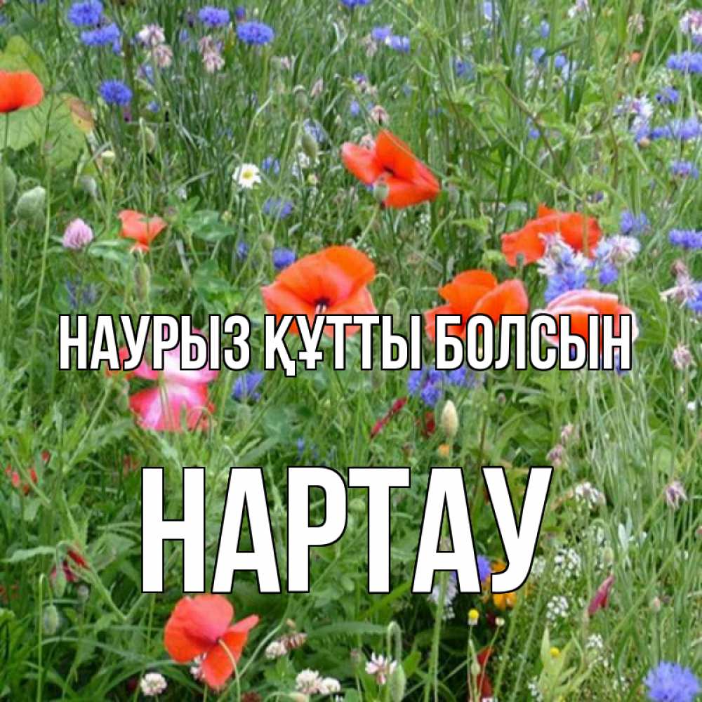 Күн сайын ашық хат с именем, НАРТАУ Наурыз құтты болсын наурыз  4 Онлайн тегін жүктеп алу тілектері бар керемет карта 