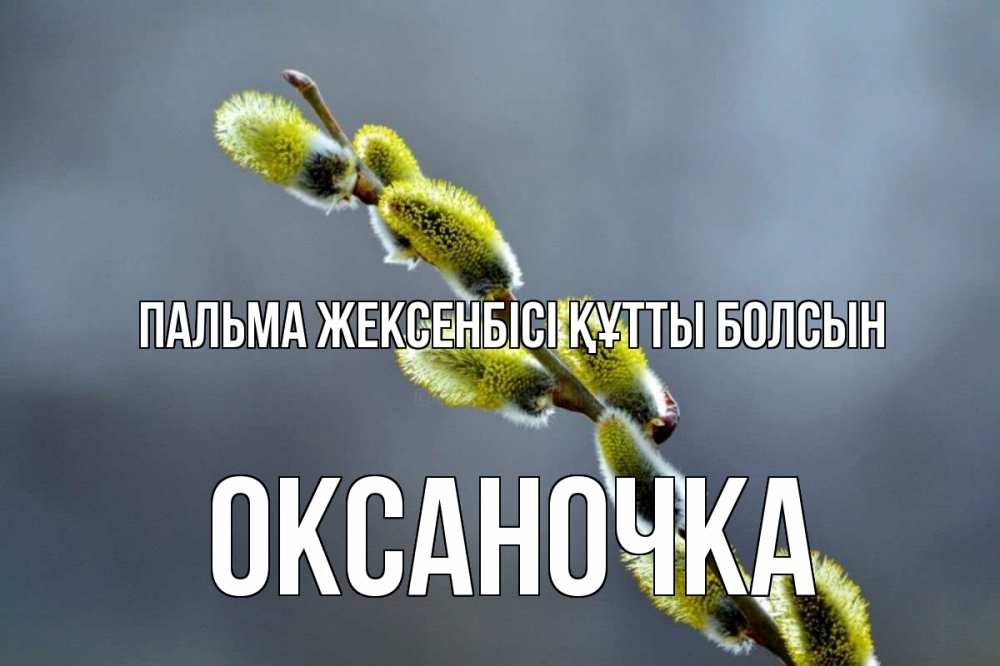 Күн сайын ашық хат с именем, Оксаночка Пальма жексенбісі құтты болсын верба Онлайн тегін жүктеп алу тілектері бар керемет карта 