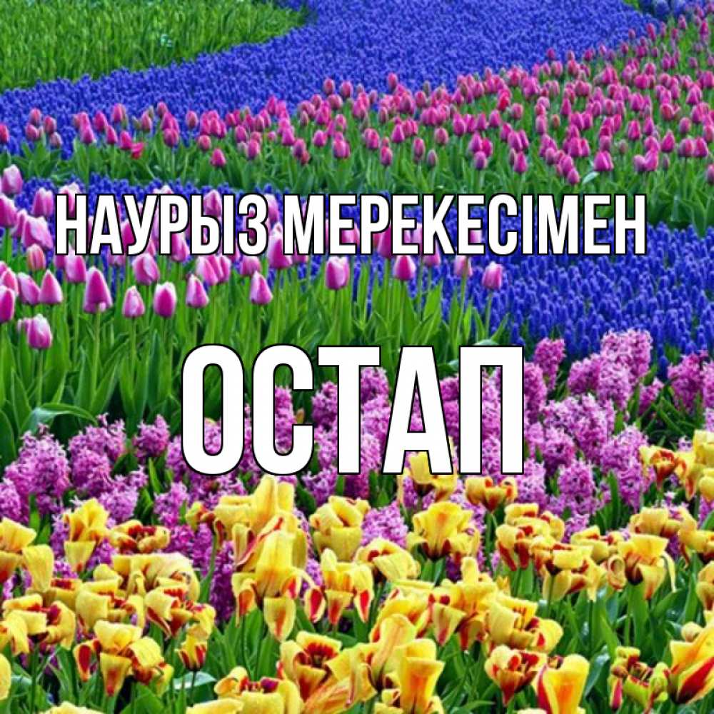 Күн сайын ашық хат с именем, Остап Наурыз мерекесімен цветы Онлайн тегін жүктеп алу тілектері бар керемет карта 