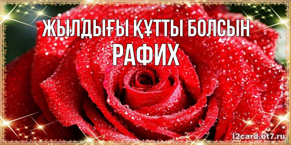 Күн сайын ашық хат с именем, РАФИХ Жылдығы құтты болсын роса и роза. открытка с красивой розой Онлайн тегін жүктеп алу тілектері бар керемет карта 