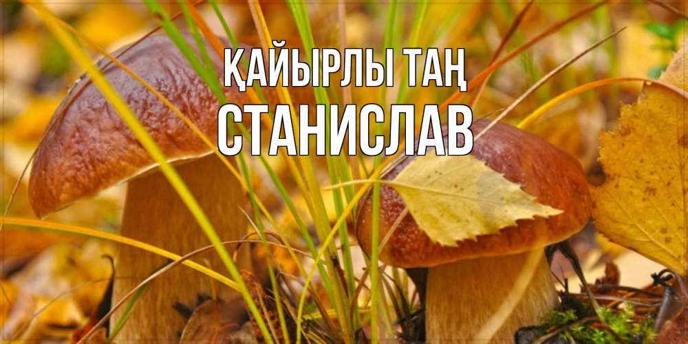 Күн сайын ашық хат с именем, Станислав Қайырлы таң осенние грибы Онлайн тегін жүктеп алу тілектері бар керемет карта 