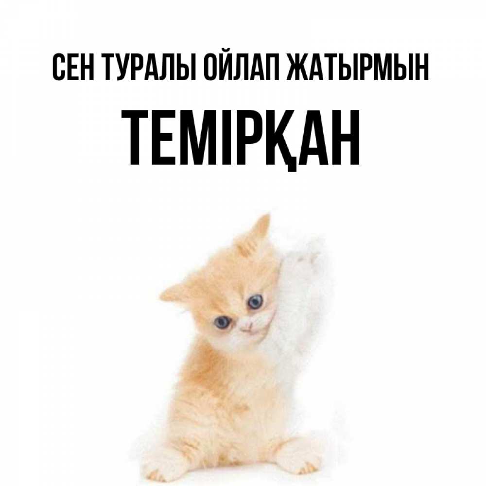 Күн сайын ашық хат с именем, ТЕМІРҚАН Сен туралы ойлап жатырмын зверушки и милота Онлайн тегін жүктеп алу тілектері бар керемет карта 
