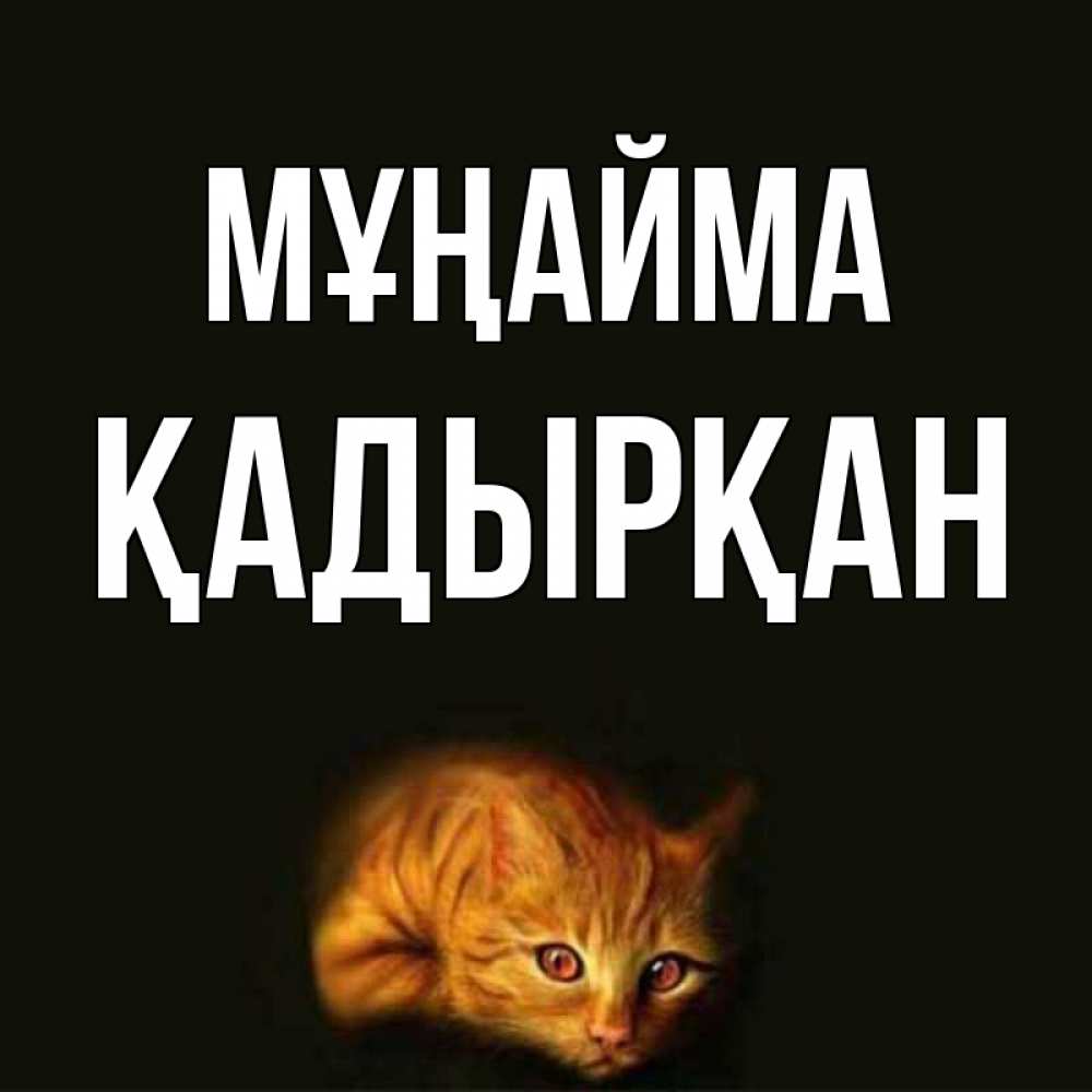 Күн сайын ашық хат с именем, Қадырқан Мұңайма лежащий кот в темноте Онлайн тегін жүктеп алу тілектері бар керемет карта 