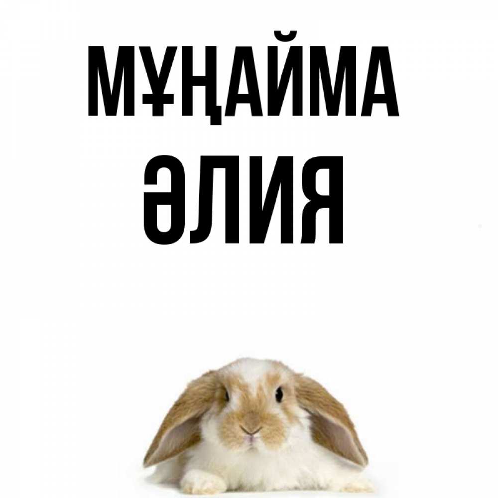 Күн сайын ашық хат с именем, ӘЛИЯ Мұңайма коричнево белый заяц с большими ушками Онлайн тегін жүктеп алу тілектері бар керемет карта 
