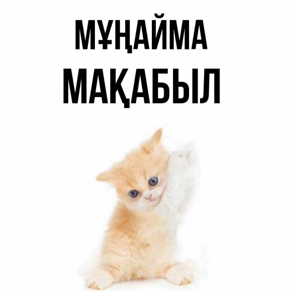 Күн сайын ашық хат с именем, МАҚАБЫЛ Мұңайма просящий кот Онлайн тегін жүктеп алу тілектері бар керемет карта 