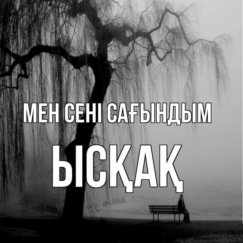 Күн сайын ашық хат с именем, ЫСҚАҚ Мен сені сағындым лавочка под деревом я жду тебя Онлайн тегін жүктеп алу тілектері бар керемет карта 
