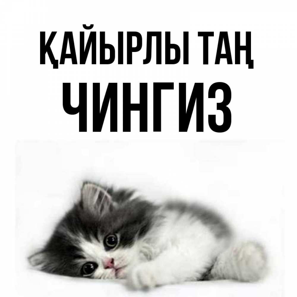 Күн сайын ашық хат с именем, Чингиз Қайырлы таң кот лапки Онлайн тегін жүктеп алу тілектері бар керемет карта 