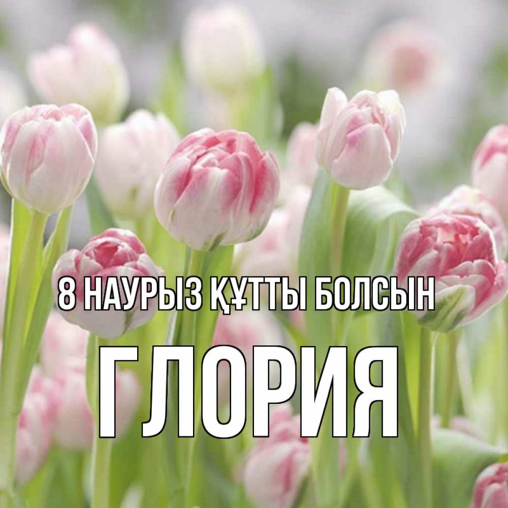 Күн сайын ашық хат с именем, Глория 8 наурыз құтты болсын цветы Онлайн тегін жүктеп алу тілектері бар керемет карта 