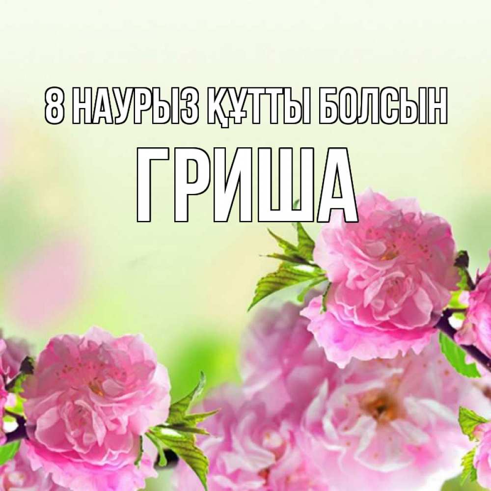 Күн сайын ашық хат с именем, Гриша 8 наурыз құтты болсын цветы Онлайн тегін жүктеп алу тілектері бар керемет карта 