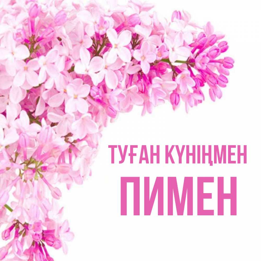 Күн сайын ашық хат с именем, Пимен Туған күніңмен Сирень на белом фоне Онлайн тегін жүктеп алу тілектері бар керемет карта 