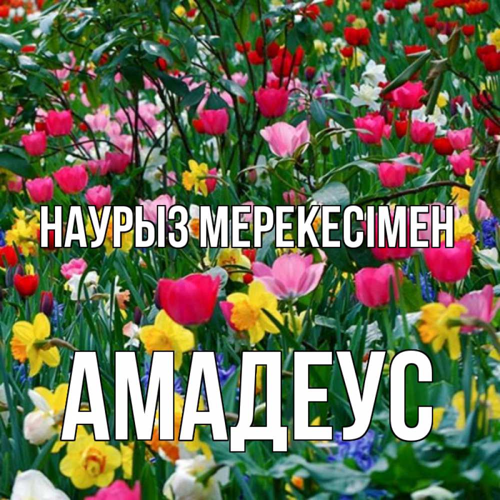 Күн сайын ашық хат с именем, Амадеус Наурыз мерекесімен с наурызом праздником весны поздравления для женщины Онлайн тегін жүктеп алу тілектері бар керемет карта 