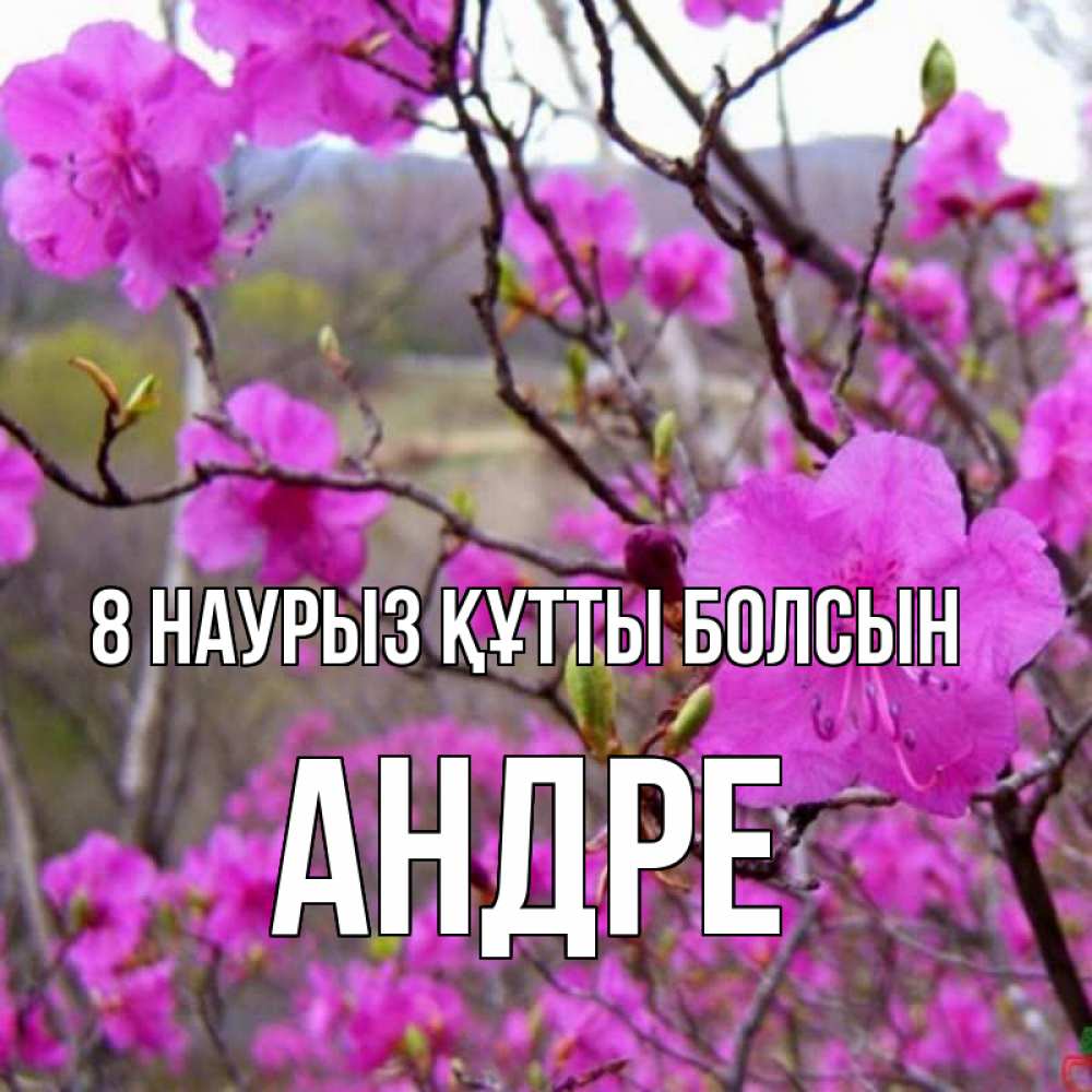 Күн сайын ашық хат с именем, Андре 8 наурыз құтты болсын международный женский день Онлайн тегін жүктеп алу тілектері бар керемет карта 