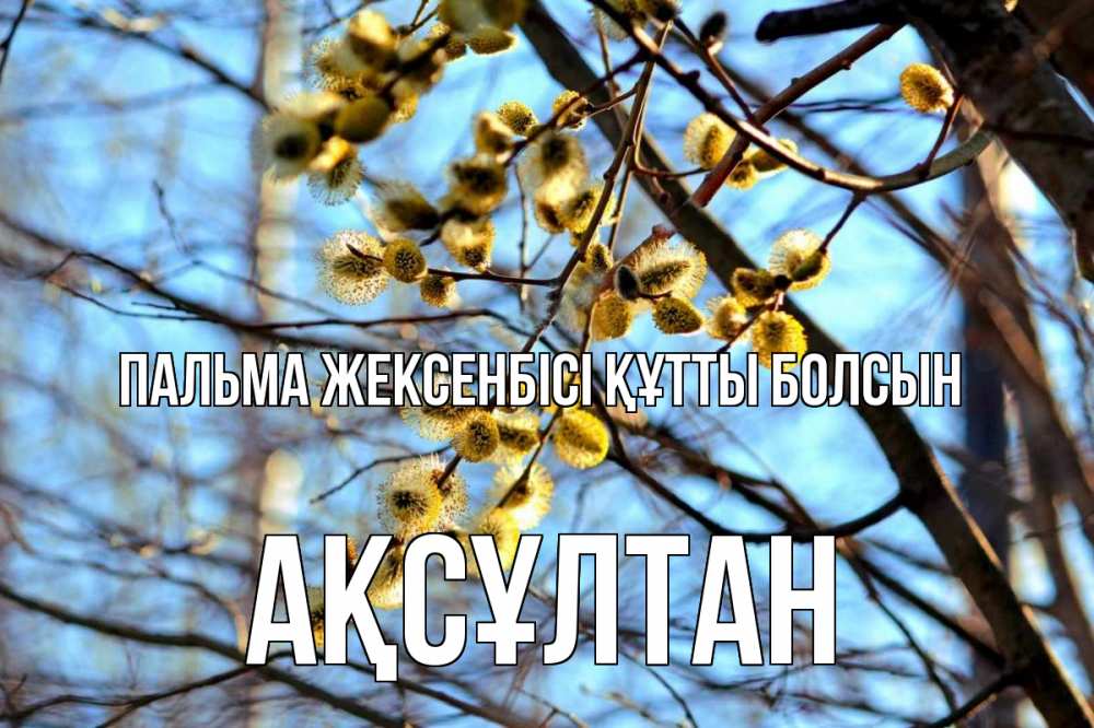 Күн сайын ашық хат с именем, Ақсұлтан Пальма жексенбісі құтты болсын верба Онлайн тегін жүктеп алу тілектері бар керемет карта 