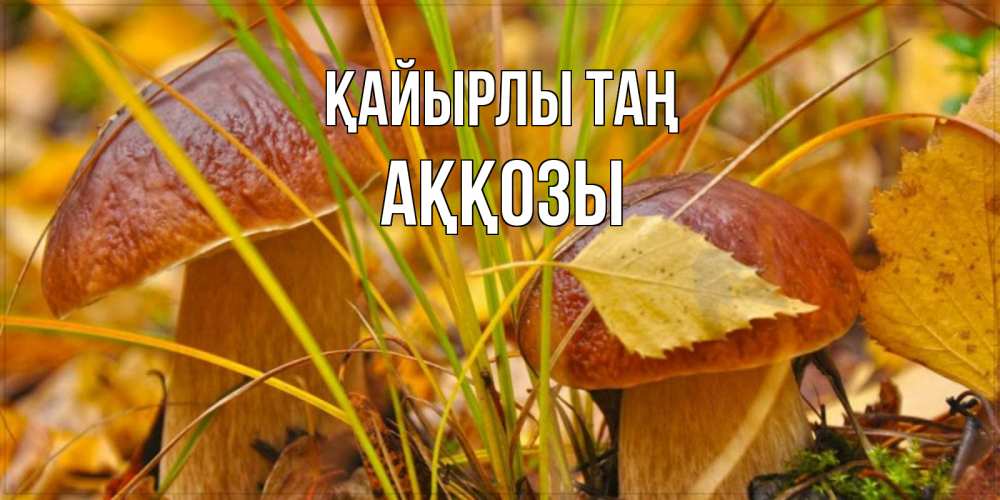 Күн сайын ашық хат с именем, Аққозы Қайырлы таң осенние грибы Онлайн тегін жүктеп алу тілектері бар керемет карта 