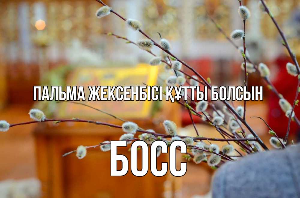 Күн сайын ашық хат с именем, Босс Пальма жексенбісі құтты болсын верба Онлайн тегін жүктеп алу тілектері бар керемет карта 