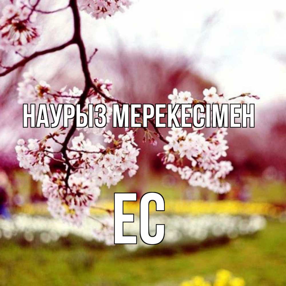 Күн сайын ашық хат с именем, Ес Наурыз мерекесімен яблоня Онлайн тегін жүктеп алу тілектері бар керемет карта 