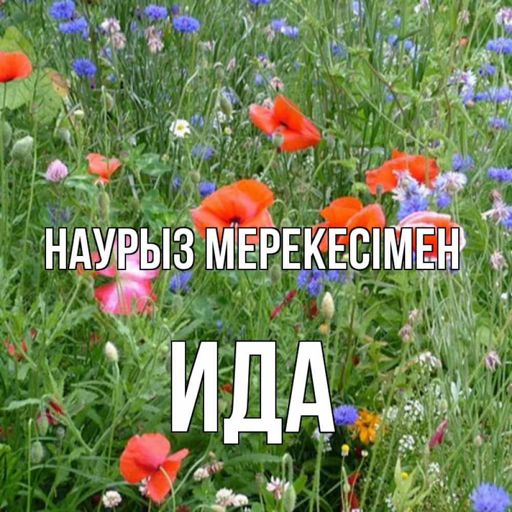 Күн сайын ашық хат с именем, Ида Наурыз мерекесімен праздник весны наурыз супер открытка Онлайн тегін жүктеп алу тілектері бар керемет карта 