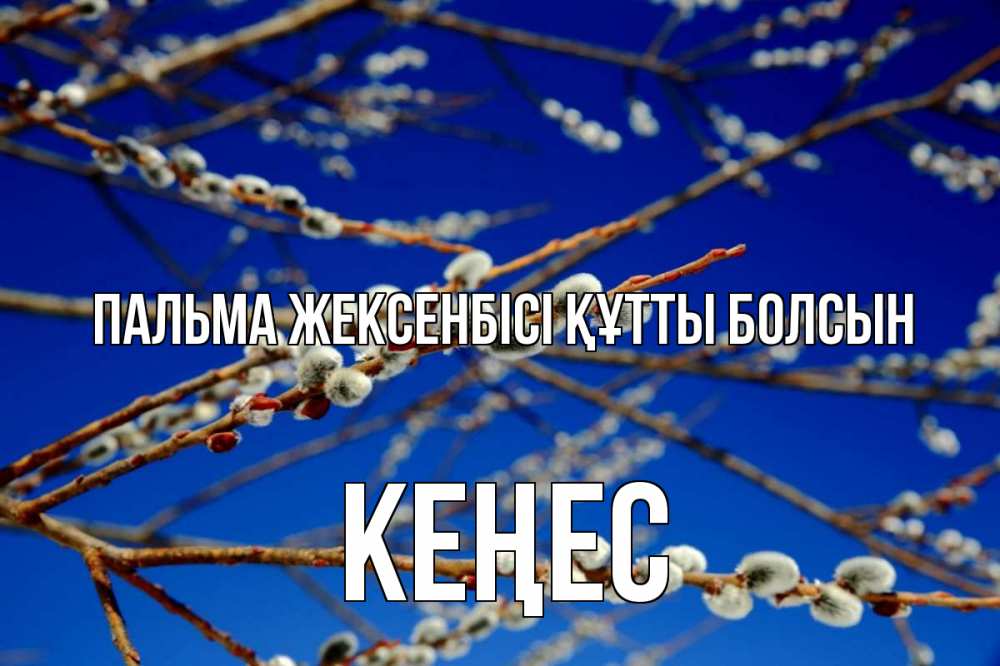 Күн сайын ашық хат с именем, Кеңес Пальма жексенбісі құтты болсын верба Онлайн тегін жүктеп алу тілектері бар керемет карта 