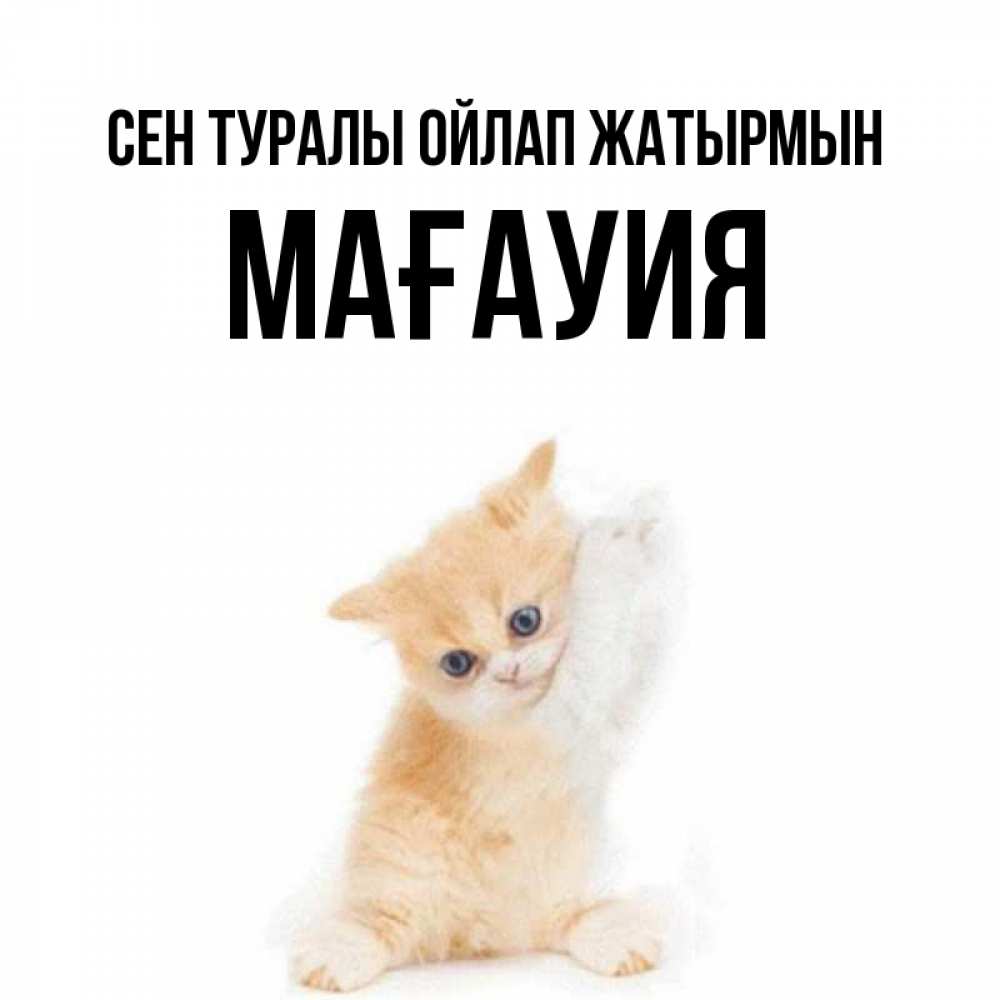 Күн сайын ашық хат с именем, МАҒАУИЯ Сен туралы ойлап жатырмын зверушки и милота Онлайн тегін жүктеп алу тілектері бар керемет карта 