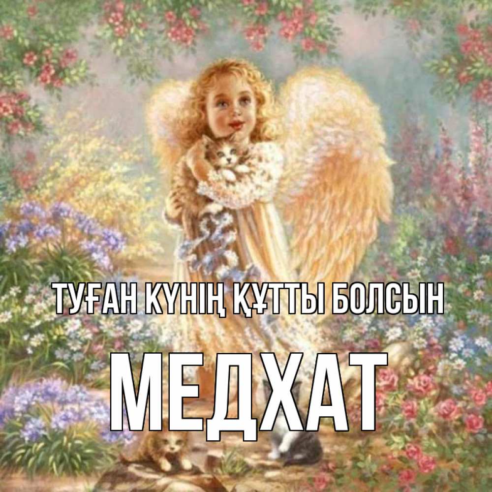 Күн сайын ашық хат с именем, МЕДХАТ Туған күнің құтты болсын держит котенка Онлайн тегін жүктеп алу тілектері бар керемет карта 
