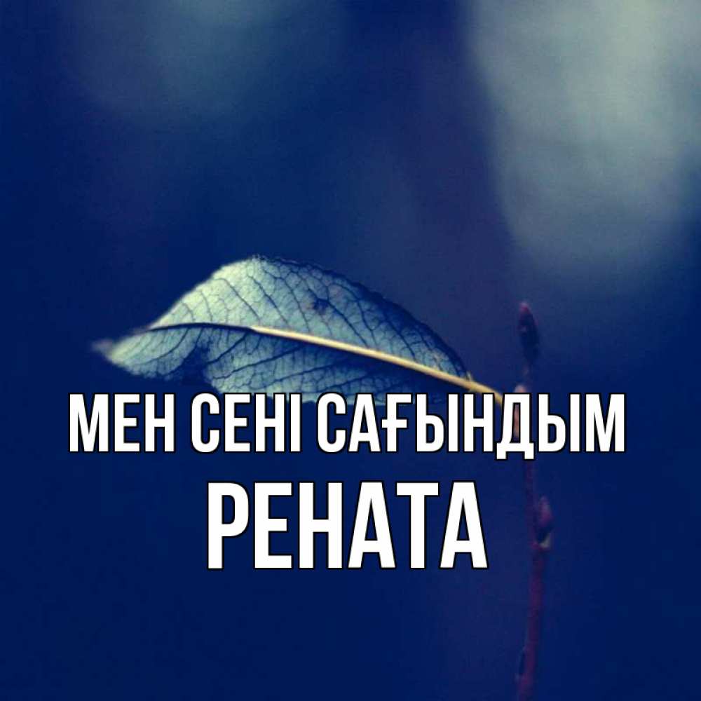 Күн сайын ашық хат с именем, Рената Мен сені сағындым одна ветка 1 Онлайн тегін жүктеп алу тілектері бар керемет карта 
