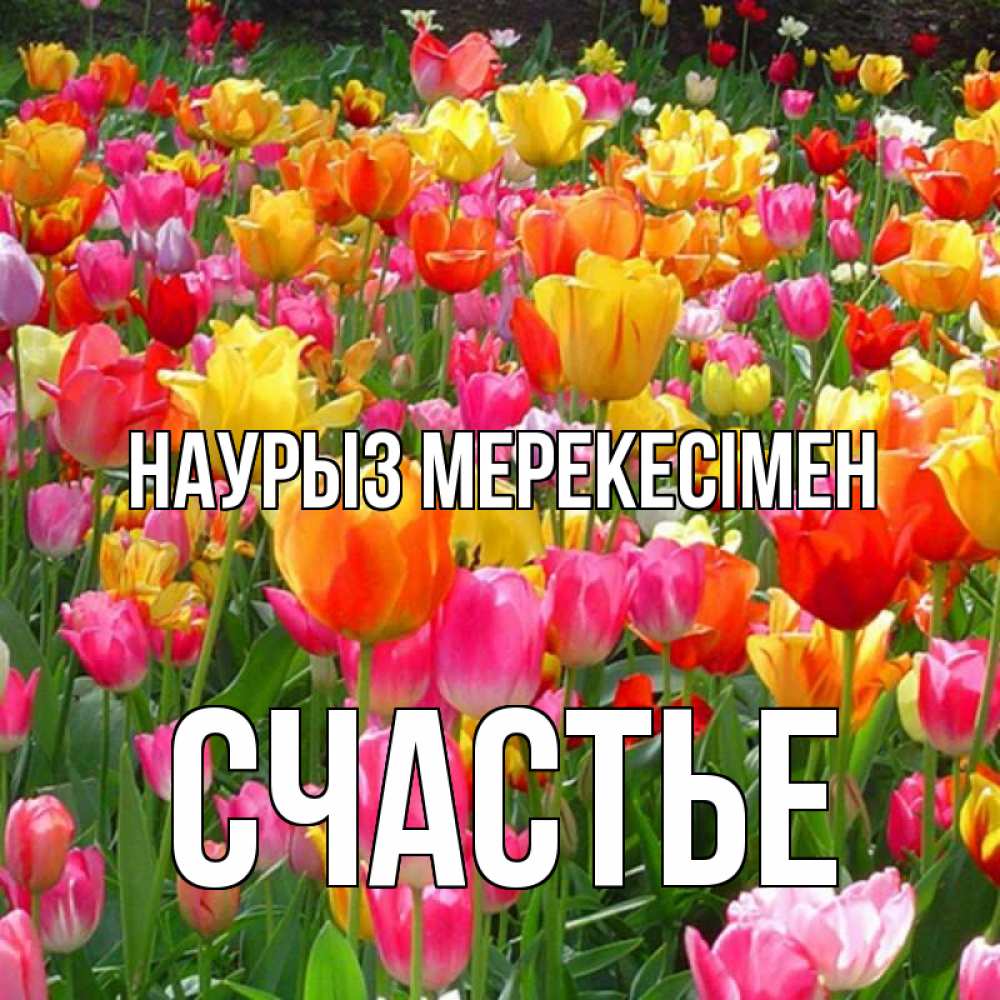 Күн сайын ашық хат с именем, Счастье Наурыз мерекесімен праздник весны наурыз 4 Онлайн тегін жүктеп алу тілектері бар керемет карта 