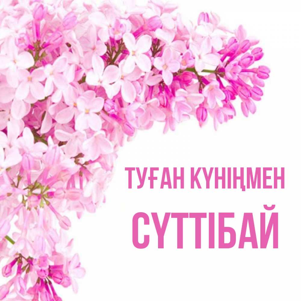 Күн сайын ашық хат с именем, СҮТТІБАЙ Туған күніңмен Сирень на белом фоне Онлайн тегін жүктеп алу тілектері бар керемет карта 