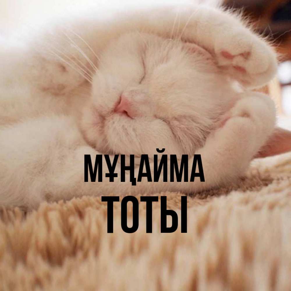 Күн сайын ашық хат с именем, ТОТЫ Мұңайма Котенок спит Онлайн тегін жүктеп алу тілектері бар керемет карта 